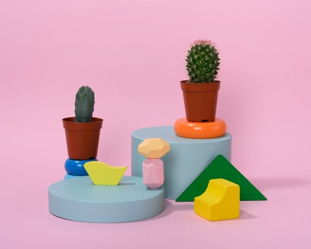 Green Cactus on colorful shapes, by Daria Liudnaya from Pexels